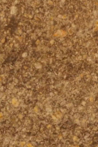 Stone Meditation poster