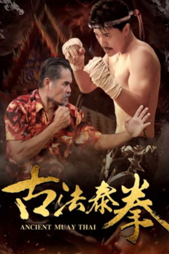 古法泰拳 poster