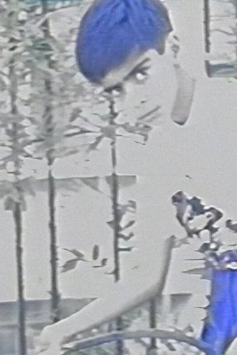 Archive of Collateral Lives