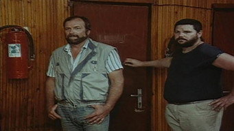Зачарований долар (1985)