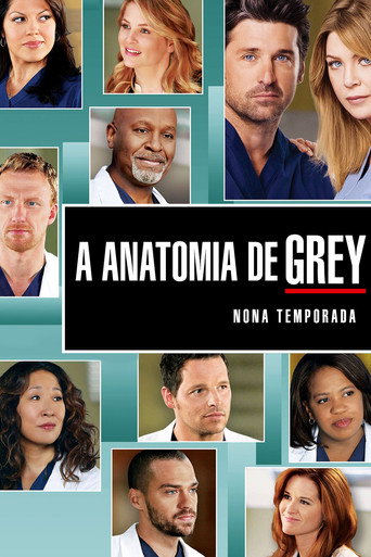 Grey’s Anatomy: Season 9