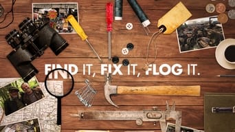 Find It Fix It Flog It (2016- )