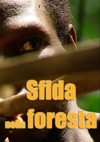 Sfida nella foresta galeri 1