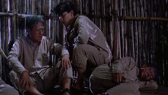 Зірки і троянди (1989)