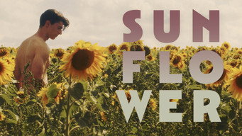 #8 Sunflower