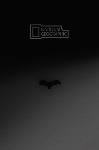 National Geographic: Wild Worlds Weirdest Freaks of Nature poster