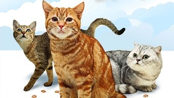 Cats 101 - S2E01