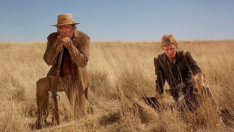 #30 Рейд Ульзани