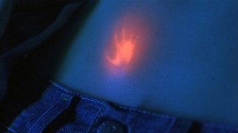 Episódio Baby, It's You da série Arquivo Roswell