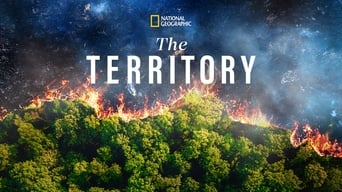 #7 The Territory