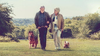 #10 23 Walks