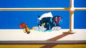 Cruise Cat