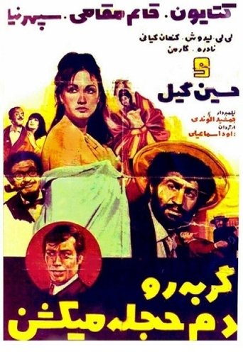 گربه را دم حجله می کشند (1969)