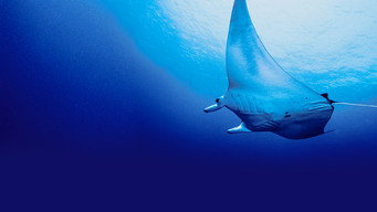 #7 Deep Sea Killers