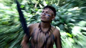 Why does the fight of Brazil’s Indigenous peoples matter to us?