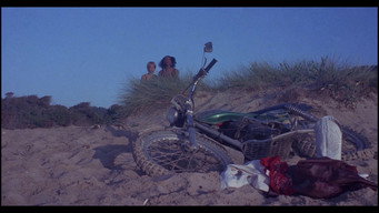 Six Swedish Girls on Ibiza (1981)