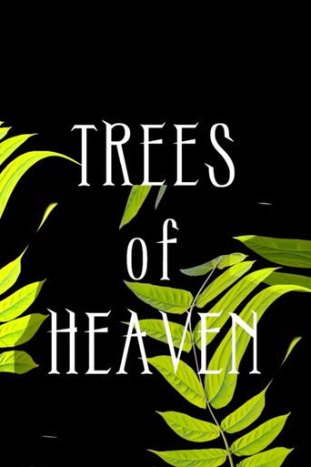 Trees of Heaven poster