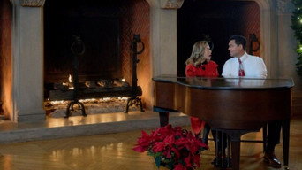#10 A Biltmore Christmas