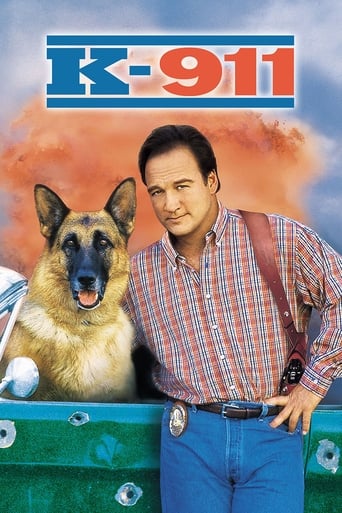 poster K-911