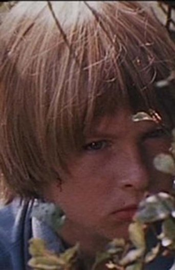 Clandestine Summer (1969)