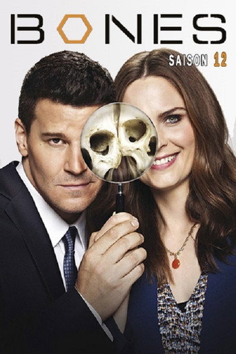 Bones - S12 - Épisode 7 : Une histoire de vengeance - Affiche
