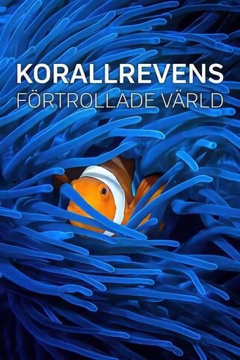 Into the Blue: Las maravillas del Triángulo de Coral poster