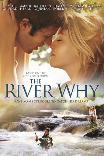 Poster of The River Why