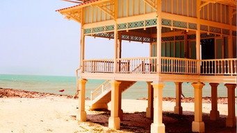 Buying the Beach (2014- )