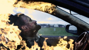 The Fox (2017)