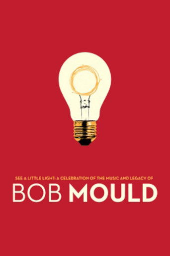 movie poster for See a Little Light: A Celebration of the Music and Legacy of Bob Mould