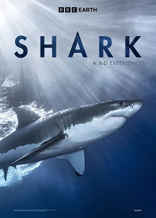 Shark: A 4D Experience poster