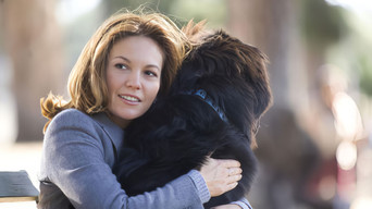Still 3 from Must Love Dogs