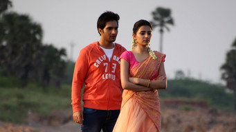 Aakatayi media image