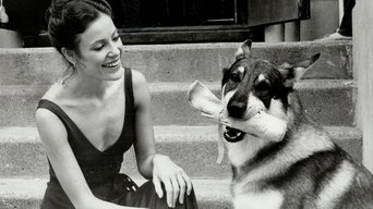 The Littlest Hobo - S4E04