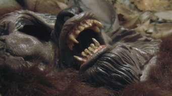 Dogman media image