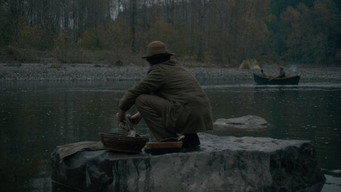 #22 Перша корова