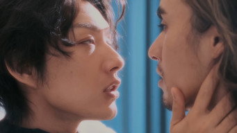I Am Lost in Your Film
