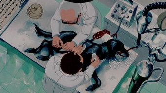 #8 The Plague Dogs