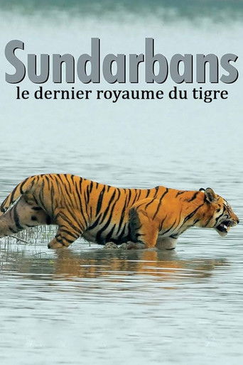 Sundarbans, le dernier royaume du tigre