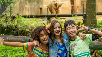 O Zoo da Zu (2016- )