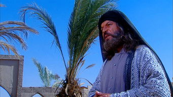 Episode 28 — Stability