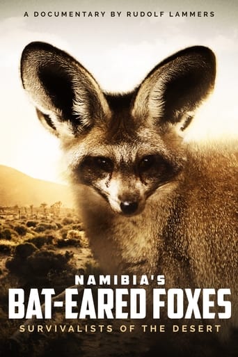 Namibias Löffelhunde – Lebenskünstler der Wüste