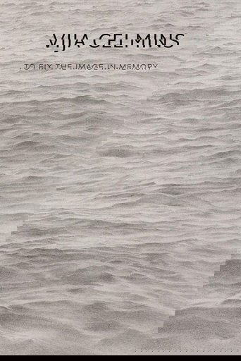 Vija Celmins: To Fix the Image in Memory poster