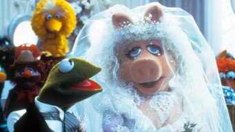 The Muppets Take Manhattan backdrop 10