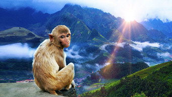 India's Lost Worlds (2015-2016)