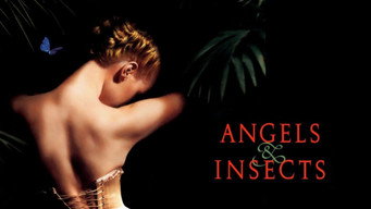 #6 Angels and Insects