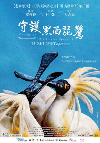Poster 5