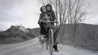 You're Crazy (1975)