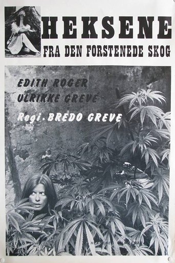 Poster of Heksene fra den forstenede skog