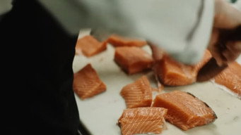 Salmon media image